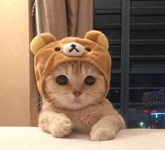 小周 Jaylonq